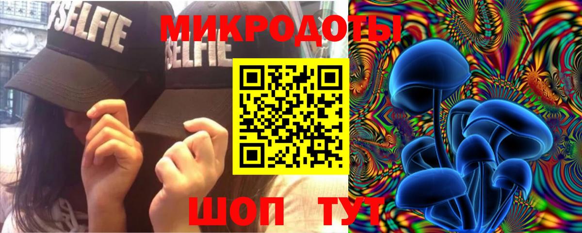 Галлюциногенные грибы Psilocybe  Вход с VPN  Нижний Тагил 